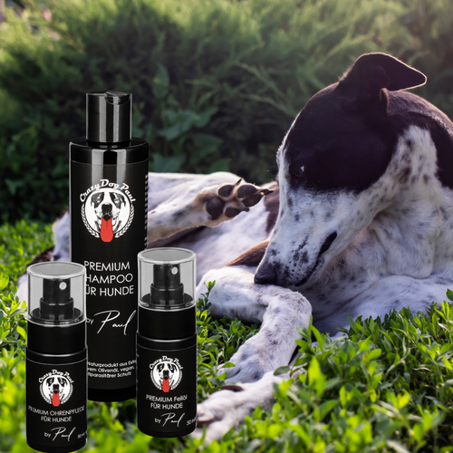 CrazyDogPaul Premium Anti-Juckreiz Set – Natürliche Fell- & Ohrenpflege