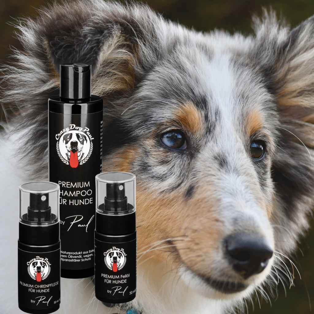CrazyDogPaul Premium Anti-Juckreiz Set – Natürliche Fell- & Ohrenpflege