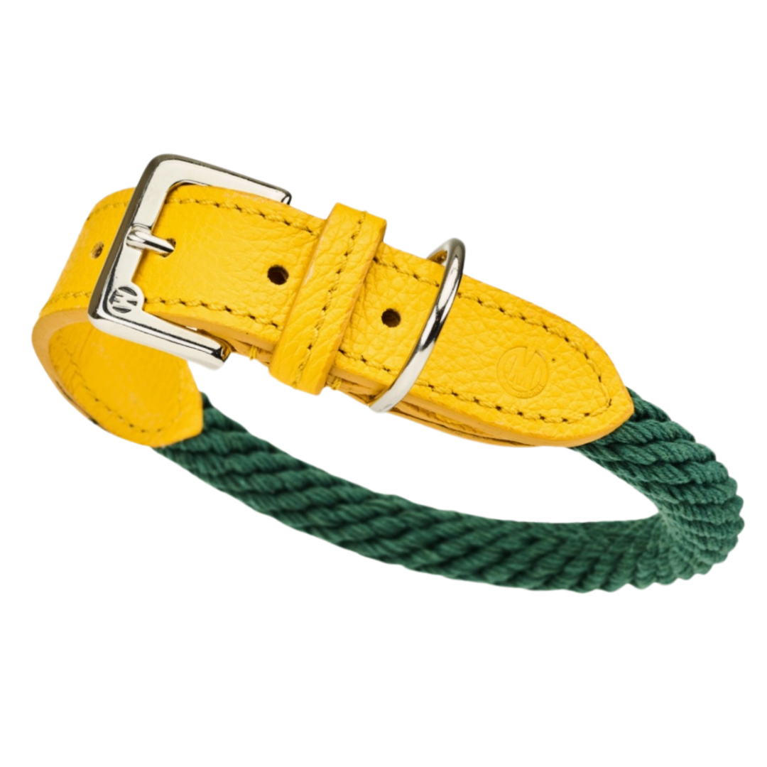 Malucchi Luxus Hundehalsband TREKKER aus Leder & Tau  - 40% Rabatt
