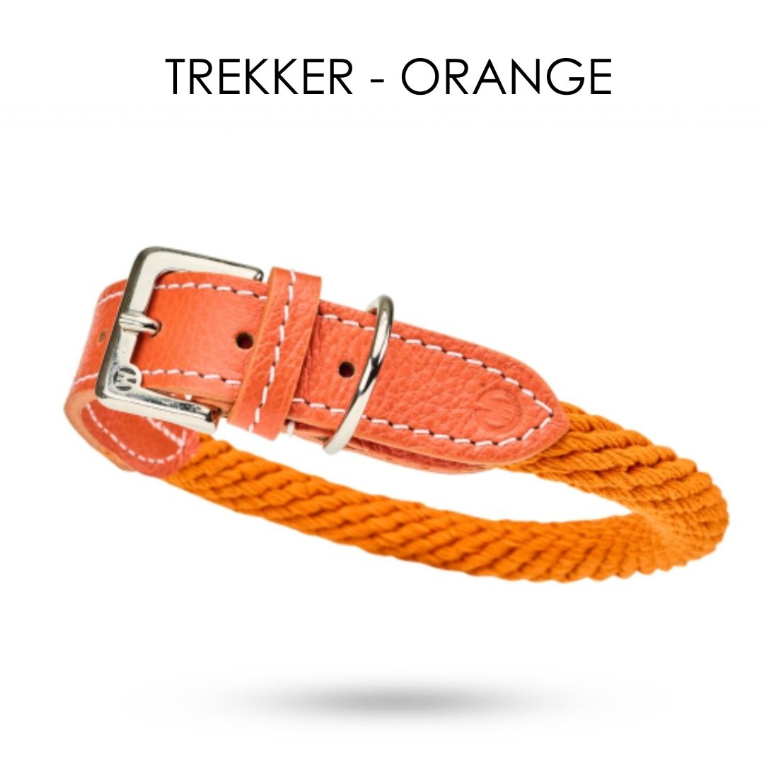 Malucchi Luxus Hundehalsband TREKKER aus Leder & Tau  - 40% Rabatt