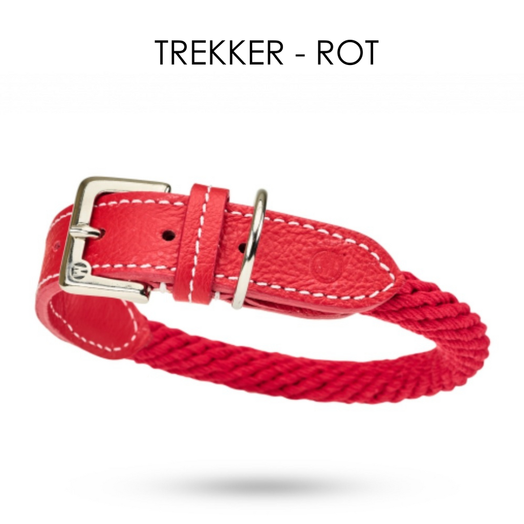 Malucchi Luxus Hundehalsband TREKKER aus Leder & Tau  - 40% Rabatt