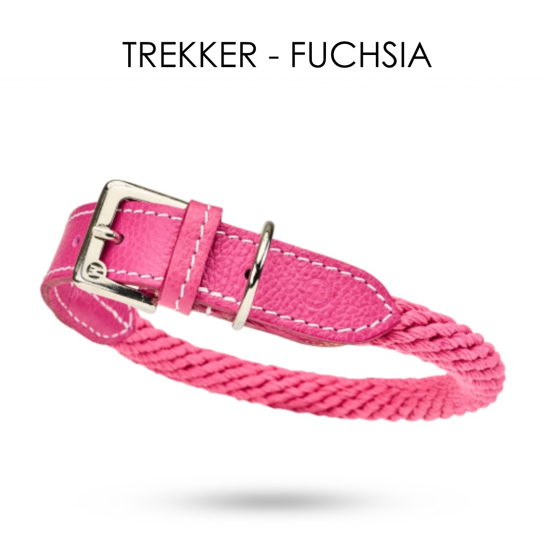 Malucchi Luxus Hundehalsband TREKKER aus Leder & Tau  - 40% Rabatt