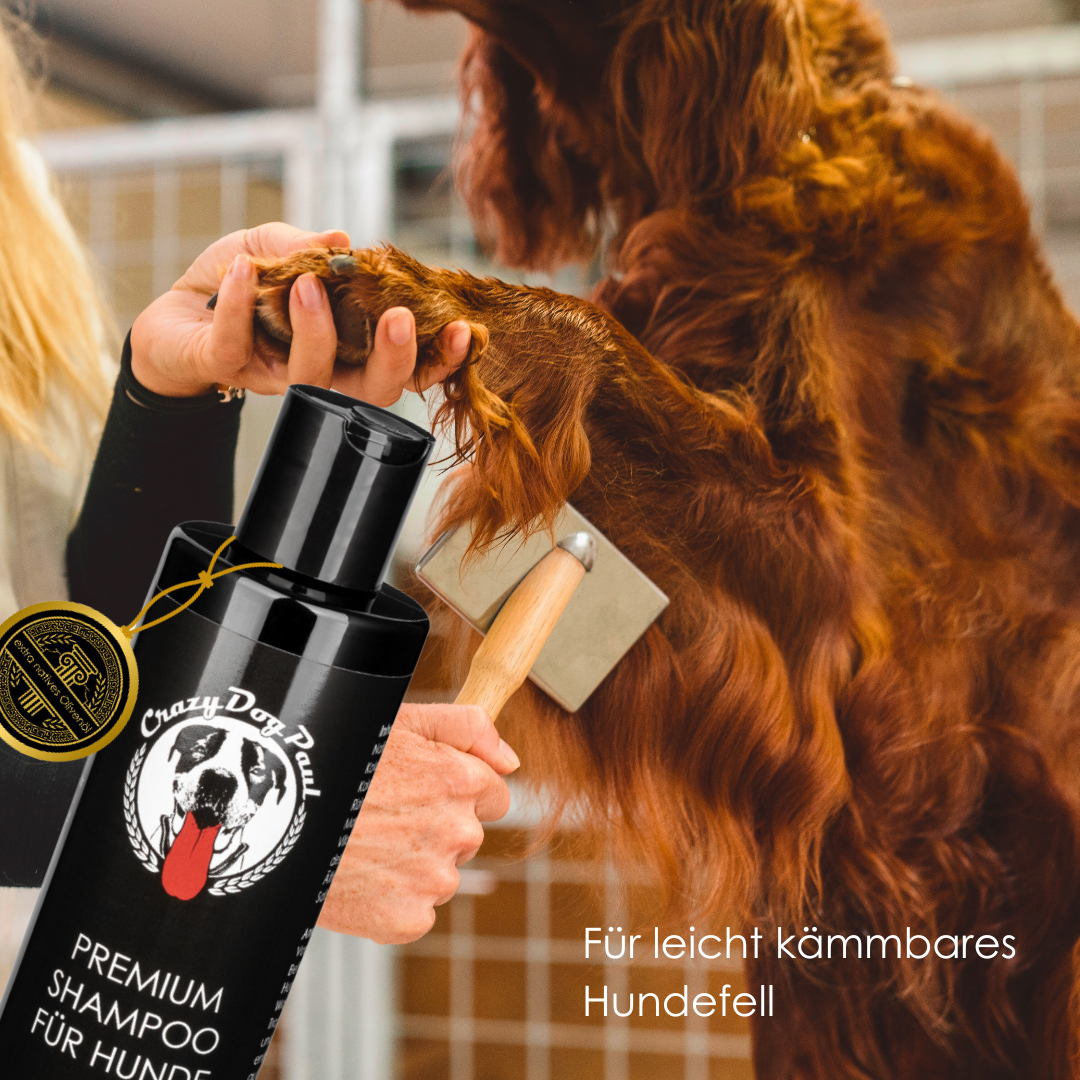 CrazyDogPaul Premium Anti-Zecken Set – Natürliche Fell-, Ohren- & Pfotenpflege