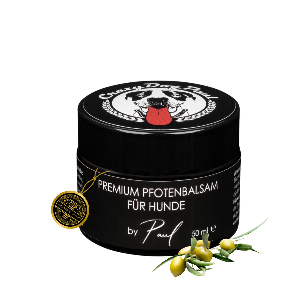 CrazyDogPaul Premium Pfotenbalsam für Hunde (50ml) – Natürlicher Pfotenschutz gegen Risse