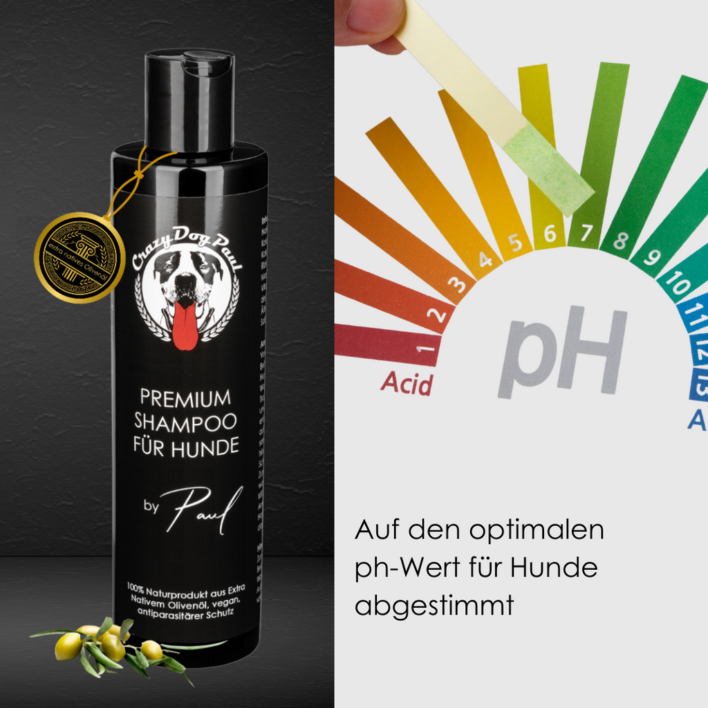Veganes und biologisch abbaubares Hundeshampoo ohne Silikone, Parabene und Sulfate