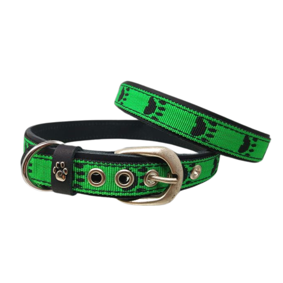 CrazyDogPaul Premium Hundehalsband TERNI – Echtes Leder mit Pfoten-Print (2,5 cm)