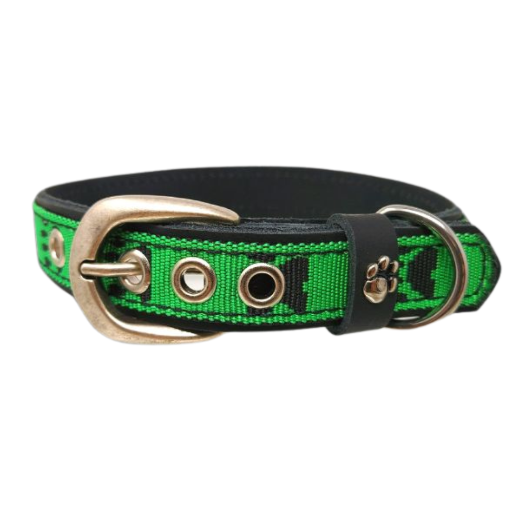 CrazyDogPaul Premium Hundehalsband TERNI – Echtes Leder mit Pfoten-Print (2,5 cm)