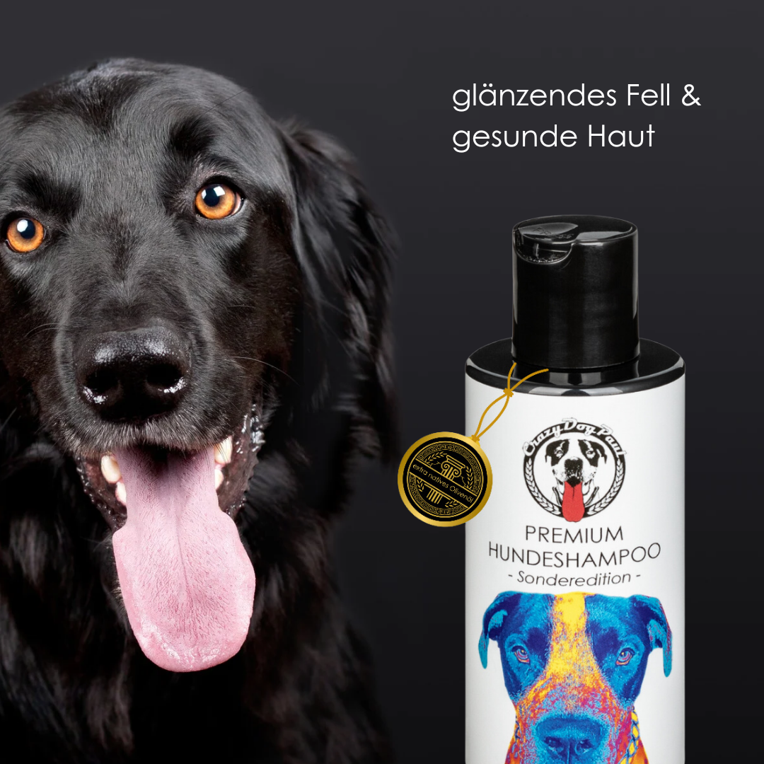 Premium Hundeshampoo crazydogpaul Sonderedition Duft für empfindliche Hundehaut
