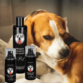 CrazyDogPaul Premium Anti-Juckreiz Set – Natürliche Fell- & Ohrenpflege