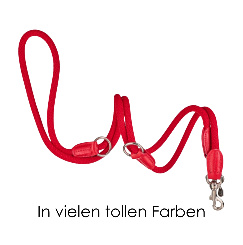 Malucchi Luxus Trainingsleine TREKKER aus Leder & Tau