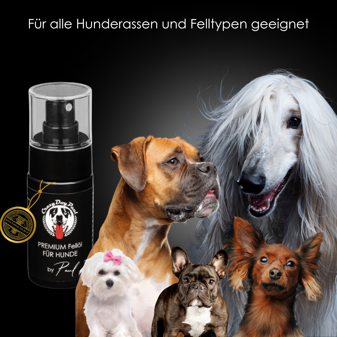 Natürliches Zeckenspray für alle Hunderassen – Sanfter und ungiftiger Parasitenschutz für Welpen und große Hunde