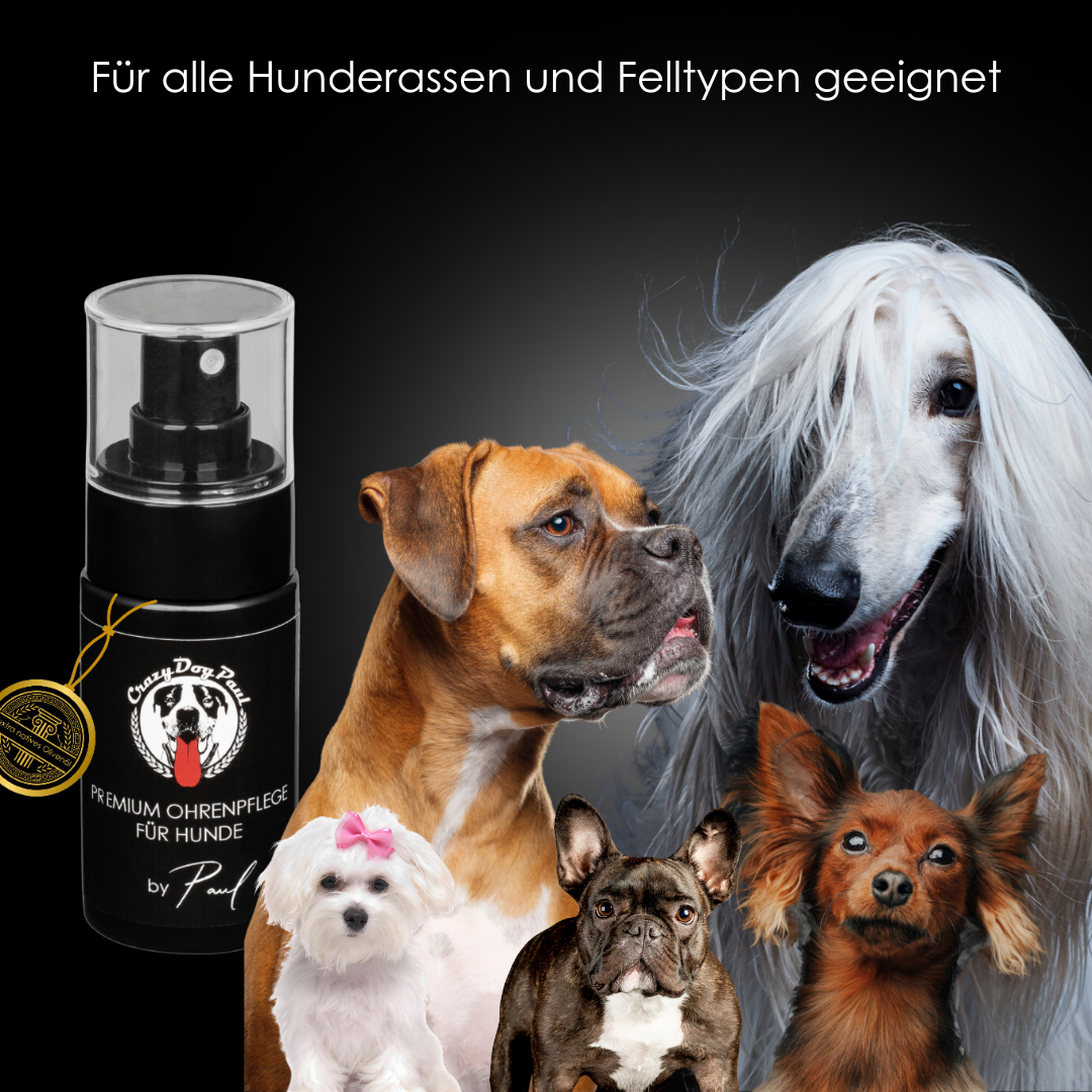 Ideale Ohrenpflege für Hunde mit Schlappohren (z.B. Labrador, Cocker Spaniel, Pudel) und für Welpen