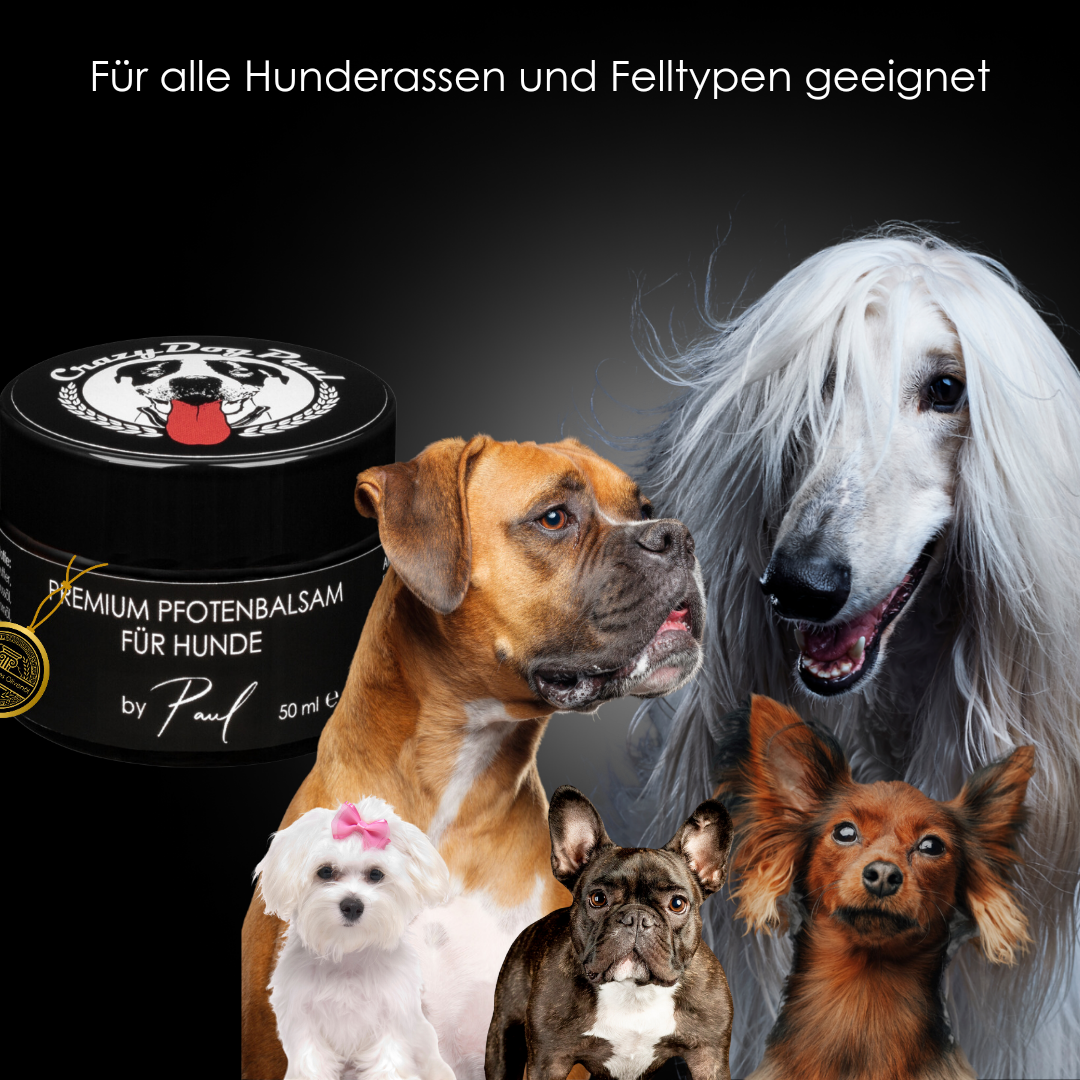 Crazydogpaul Premium Pfotenbalsam für Hunde – Natürlicher Pfotenschutz (50ml)