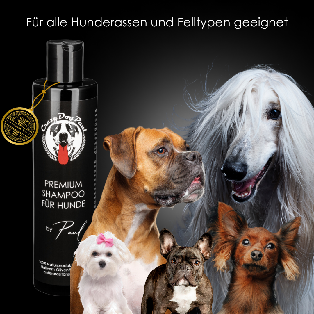 CrazyDogPaul Premium Anti-Zecken Set – Natürliche Fell-, Ohren- & Pfotenpflege