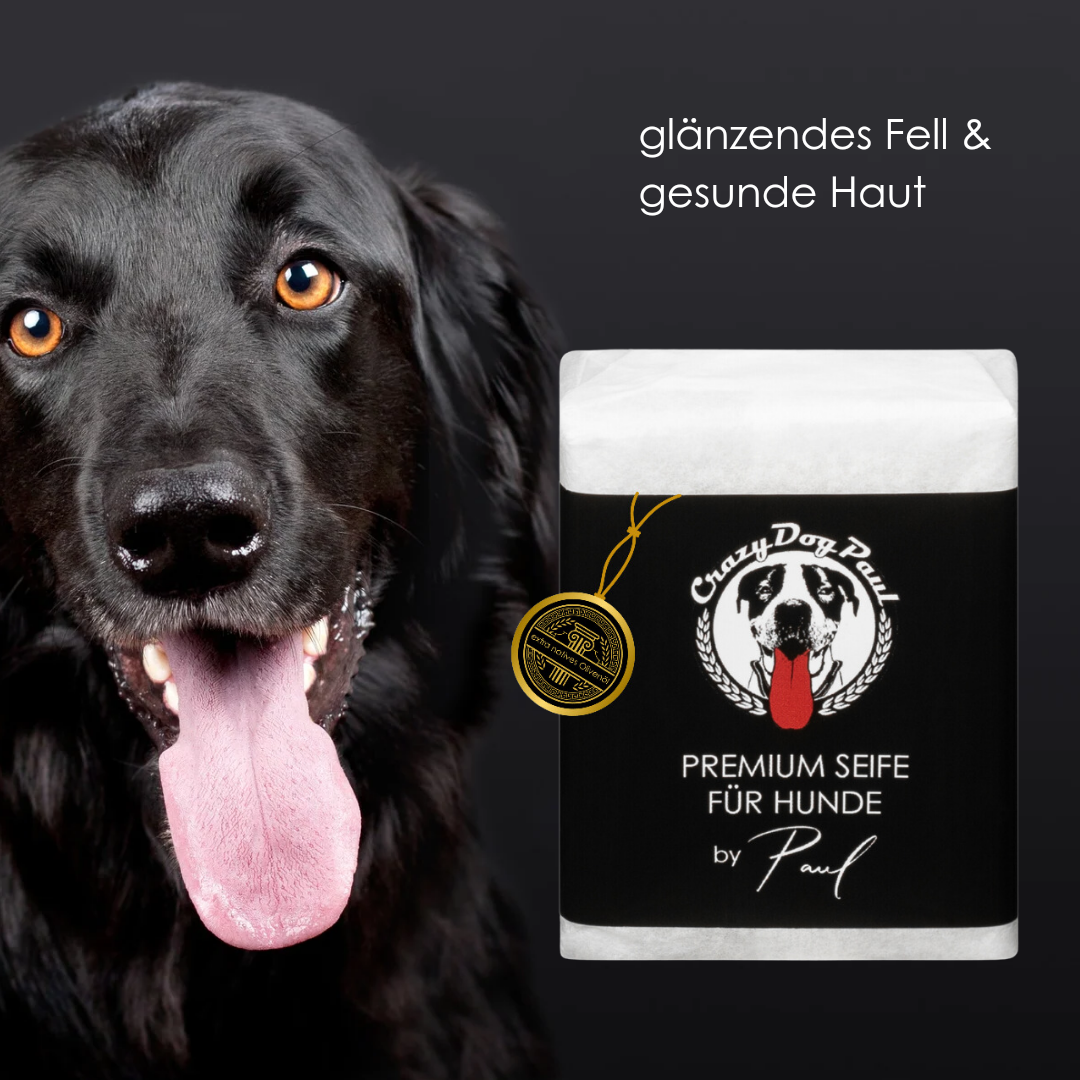 Hund waschen mit der natürlichen Hundeseife von crazydogpaul gegen Juckreiz