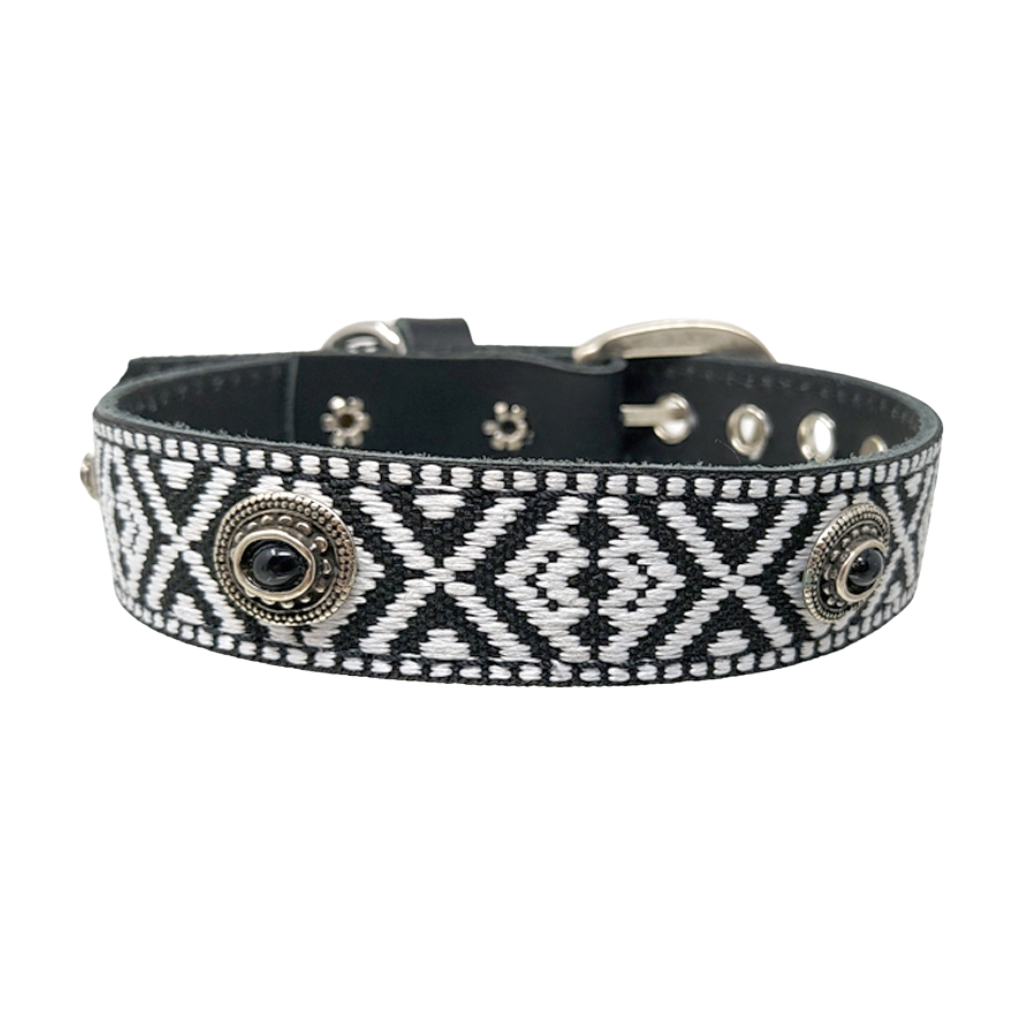 CrazyDogPaul Premium Hundehalsband STYLE – Leder mit schwarz-weißer Borte (2,5 cm)
