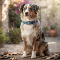 CrazyDogPaul Premium Hundehalsband PERU – Leder im Boho-Stil (2,5 cm)