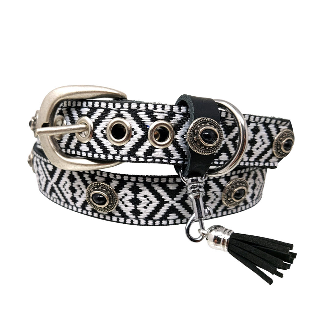 CrazyDogPaul Premium Hundehalsband STYLE – Leder mit schwarz-weißer Borte (2,5 cm)