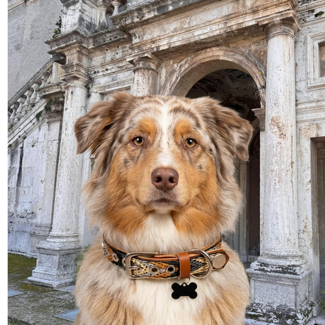 CrazyDogPaul Premium Hundehalsband SIERRA – Braunes Leder im Ethno-Stil (2,5 cm)