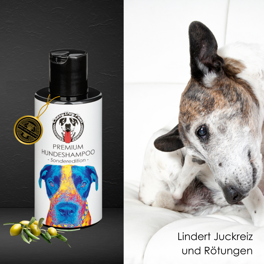 Veganes Hundeshampoo crazydogpaul  limitierte Sonderedition für professionelle Fellpflege