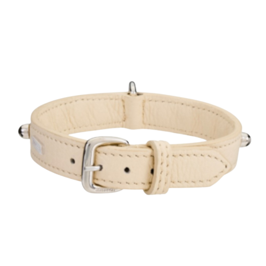 Malucchi Luxus Hundehalsband BULLET – Rock-Chic & Ikonisches Design für kleine Hunde