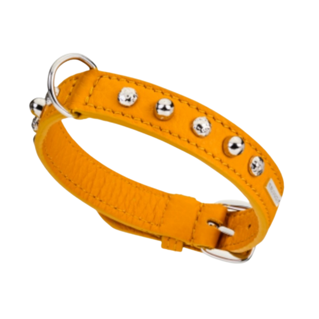 Malucchi Luxus Hundehalsband BULLET – Rock-Chic & Ikonisches Design für kleine Hunde
