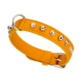Malucchi Luxus Hundehalsband BULLET – Rock-Chic & Ikonisches Design für kleine Hunde