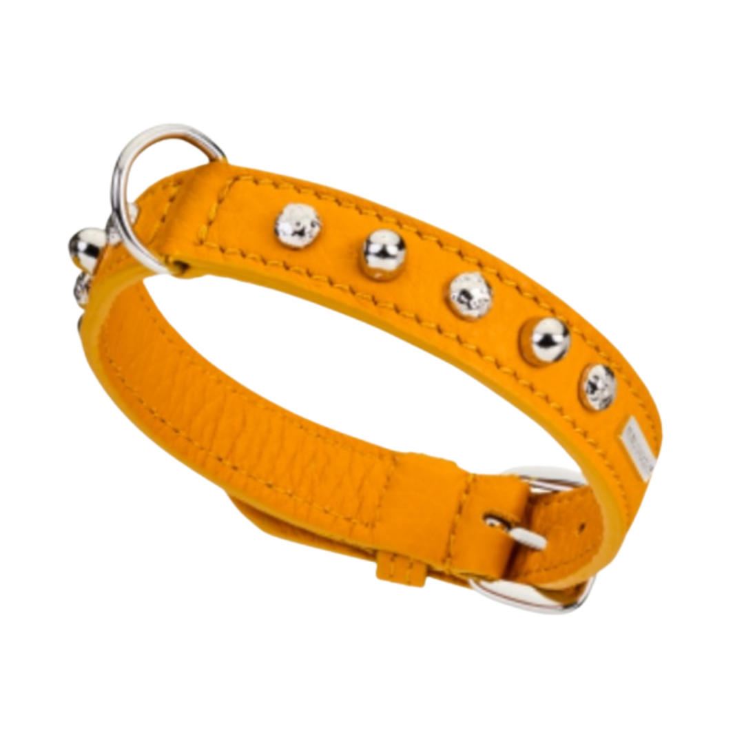 Malucchi Luxus Hundehalsband BULLET – Rock-Chic & Ikonisches Design für kleine Hunde