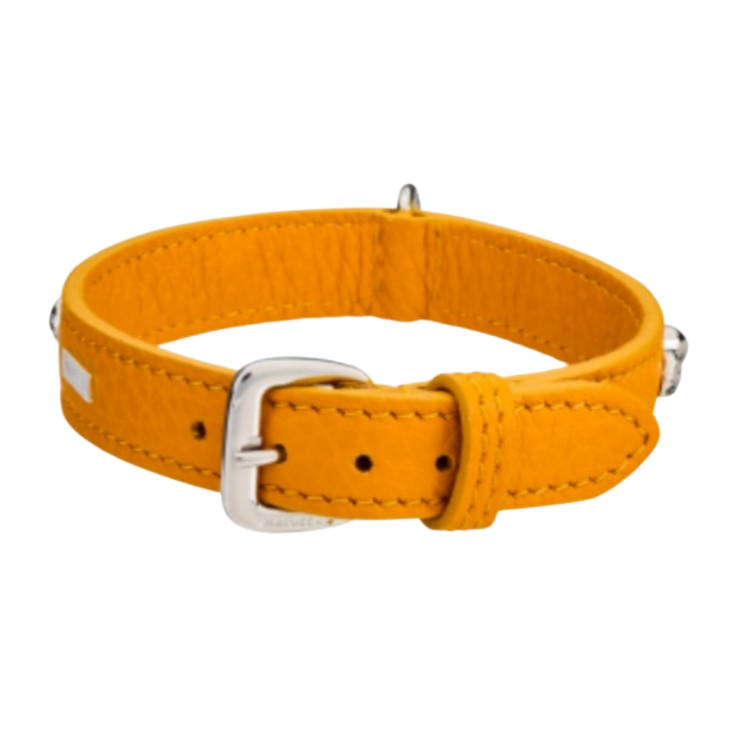Malucchi Luxus Hundehalsband BULLET – Rock-Chic & Ikonisches Design für kleine Hunde
