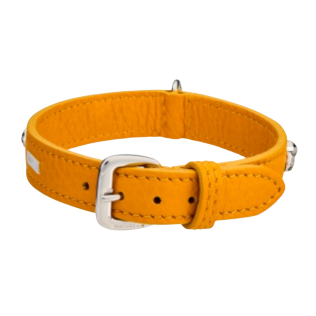 Malucchi Luxus Hundehalsband BULLET – Rock-Chic & Ikonisches Design für kleine Hunde